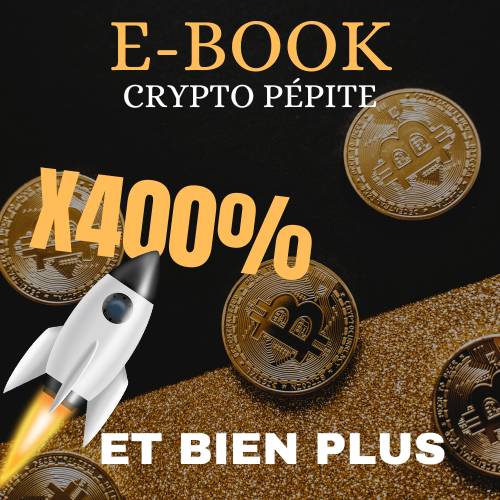 E-book Crypto pépite